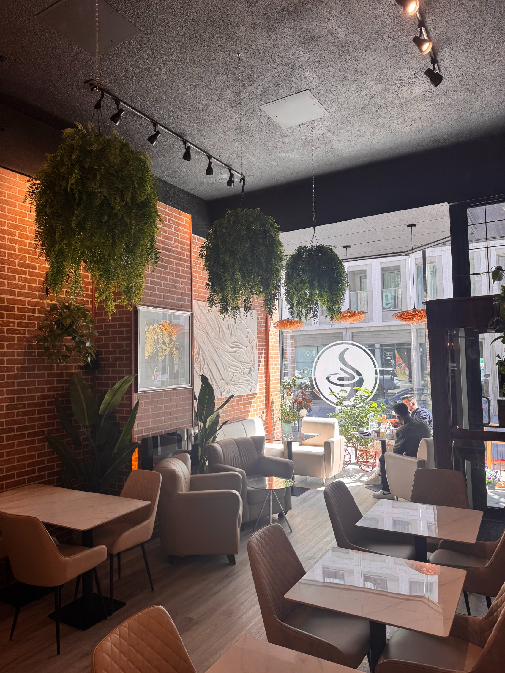 Salon de Cafeterra, fauteuils et fougères